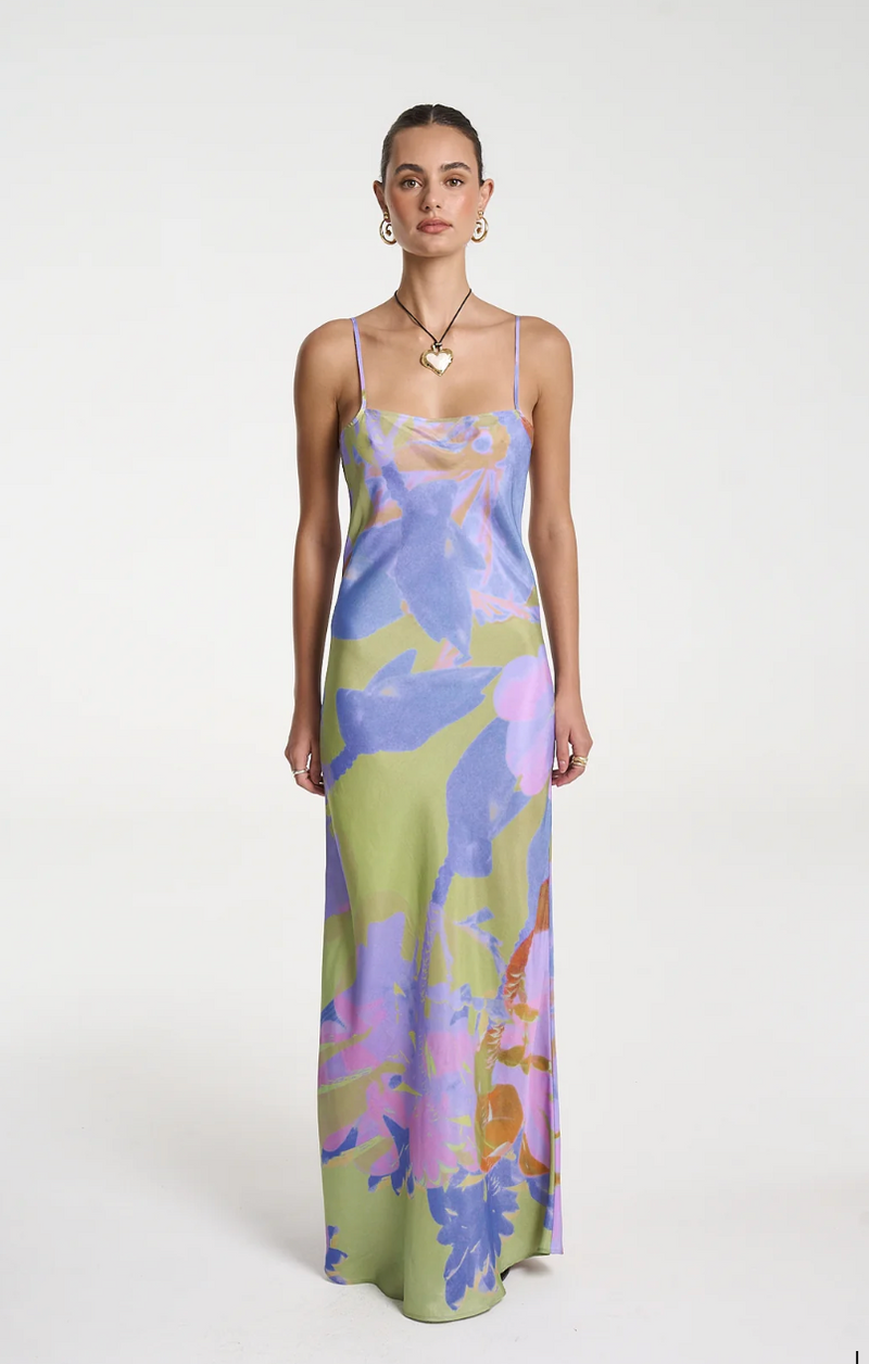 chinese dress ladies Luna Maxi Dress Blue Rose Floral main image 1