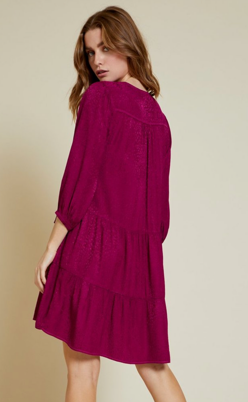 Nation Liza Dress in Berry | 4sisters1closet